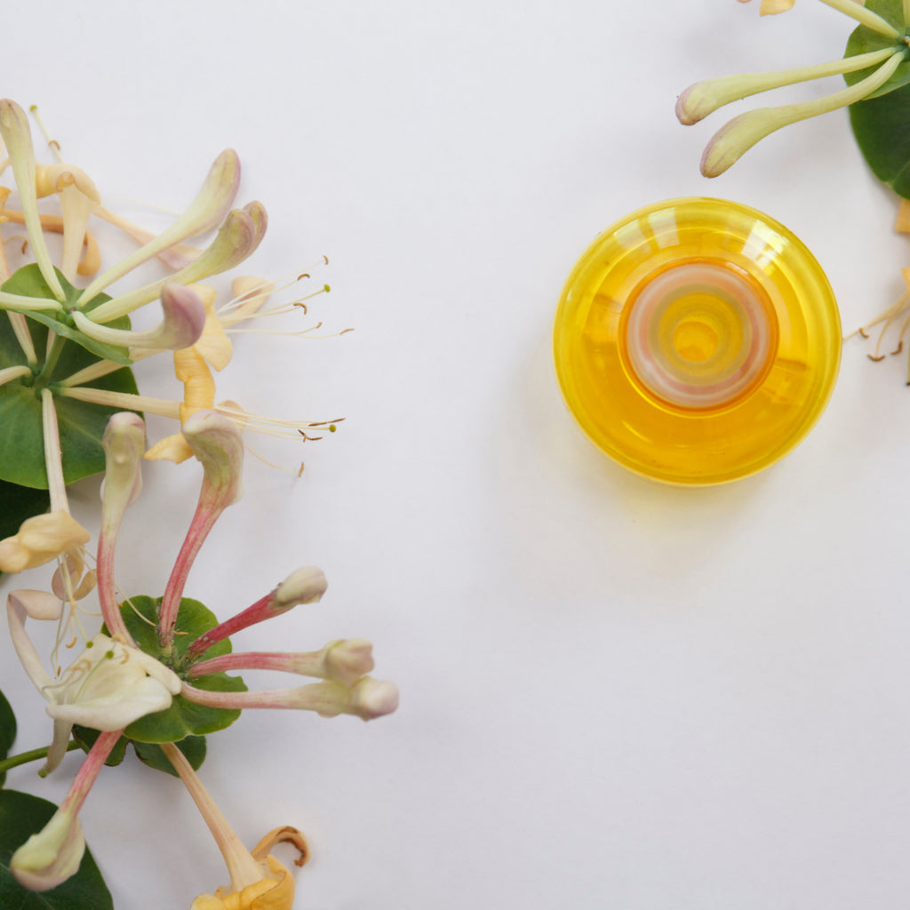 honeysuckle flowers and a bottle of honeysuckle flower extract 