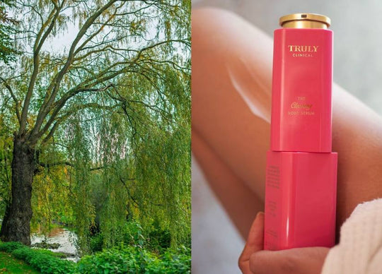 5 Benefits of Willow Bark Extract for Skin