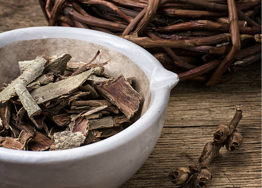 Aspen Bark Extract Really isn't Talked About Enough