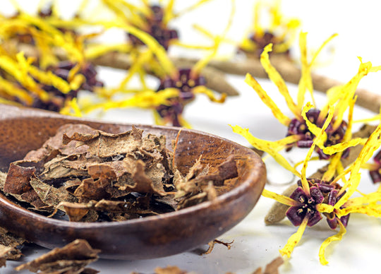 5 Wonders of Witch Hazel for Skin