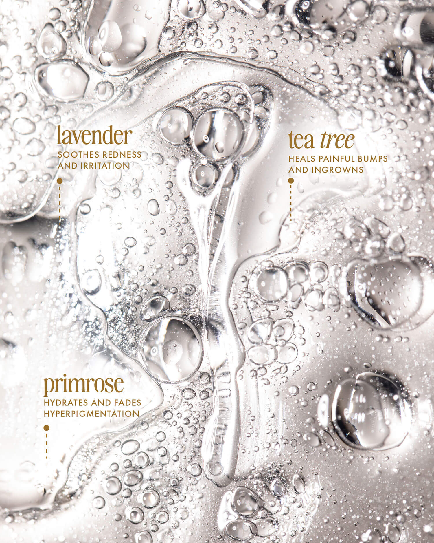 Truly Beautys Cooka Concentrate is a clear gel with air bubbles and gold text, featuring lavender to soothe, tea tree to heal ingrowns, primrose to hydrate and fade dark spots, plus jojoba for added nourishment.